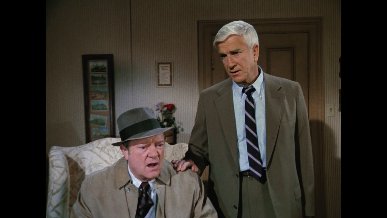 Police Squad 1982 S01 1080p BDRip x265 10bit EAC3 5 1 HxD TAoE