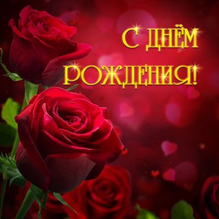 https://i.postimg.cc/qRLjK4mW/6a050f08eca4eed046a4d3ea44d47de8.jpg