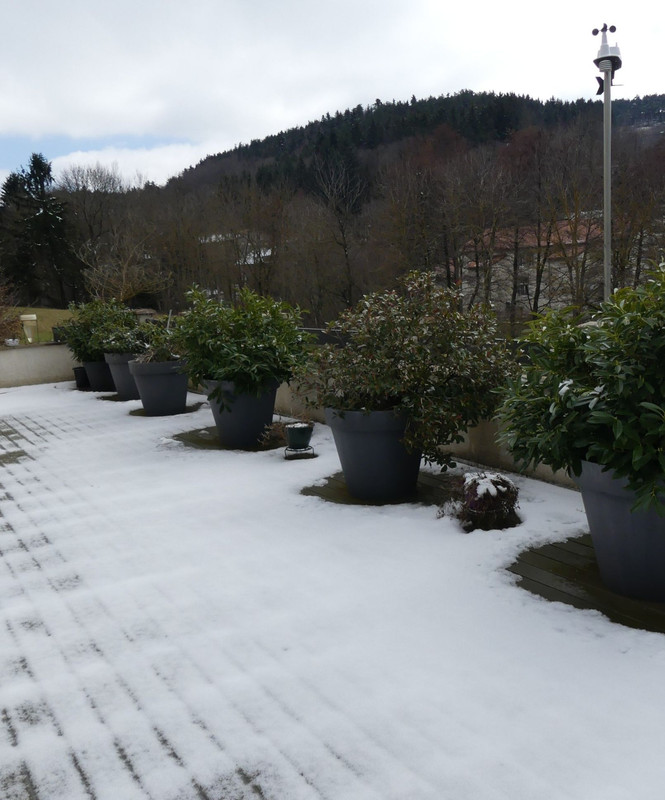 P1100345.jpg