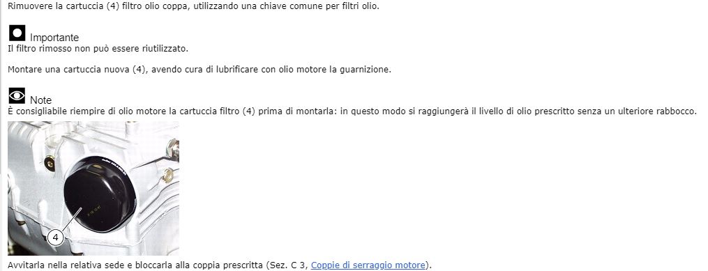 HM 1100S Manutenzione - Olio motore_3