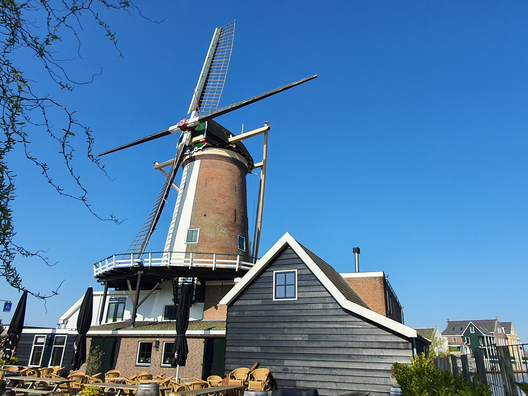 Pieter Zuijkerbuijk, De Arkduif 07 Bodegraven 05-04-2020
