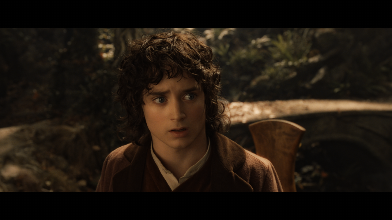 The Lord of the Rings- The Fellowship of the Ring (EXT.) PT. 1.mkv_snapshot_01.43.59_[2020.12.05_22.