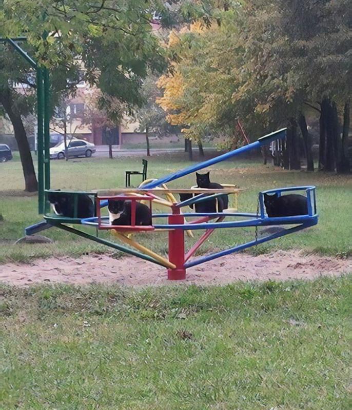 park.jpg