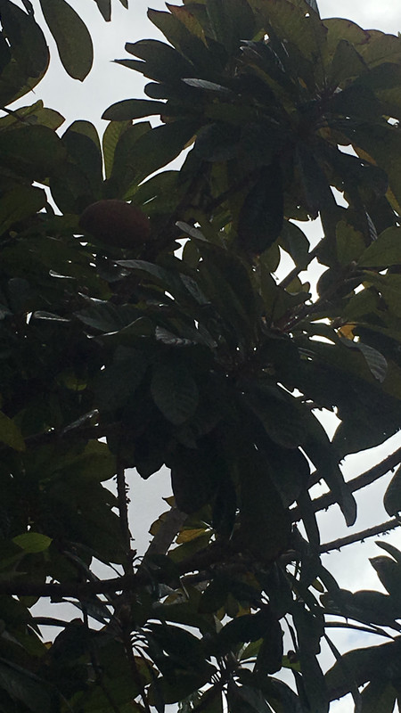 374BEBD8-1B30-48FA-A6D9-D7626728F31A