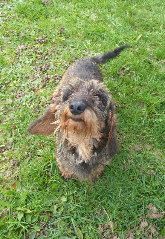 [Image: P1040049.jpg]