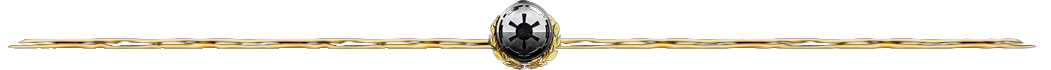 Empire-of-the-Lost-Divider-removebg-preview.png