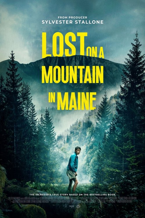 Pokonać górę / Lost on a Mountain in Maine (2024) MULTi.1080p.BluRay.x264-KiT / Lektor i Napisy PL