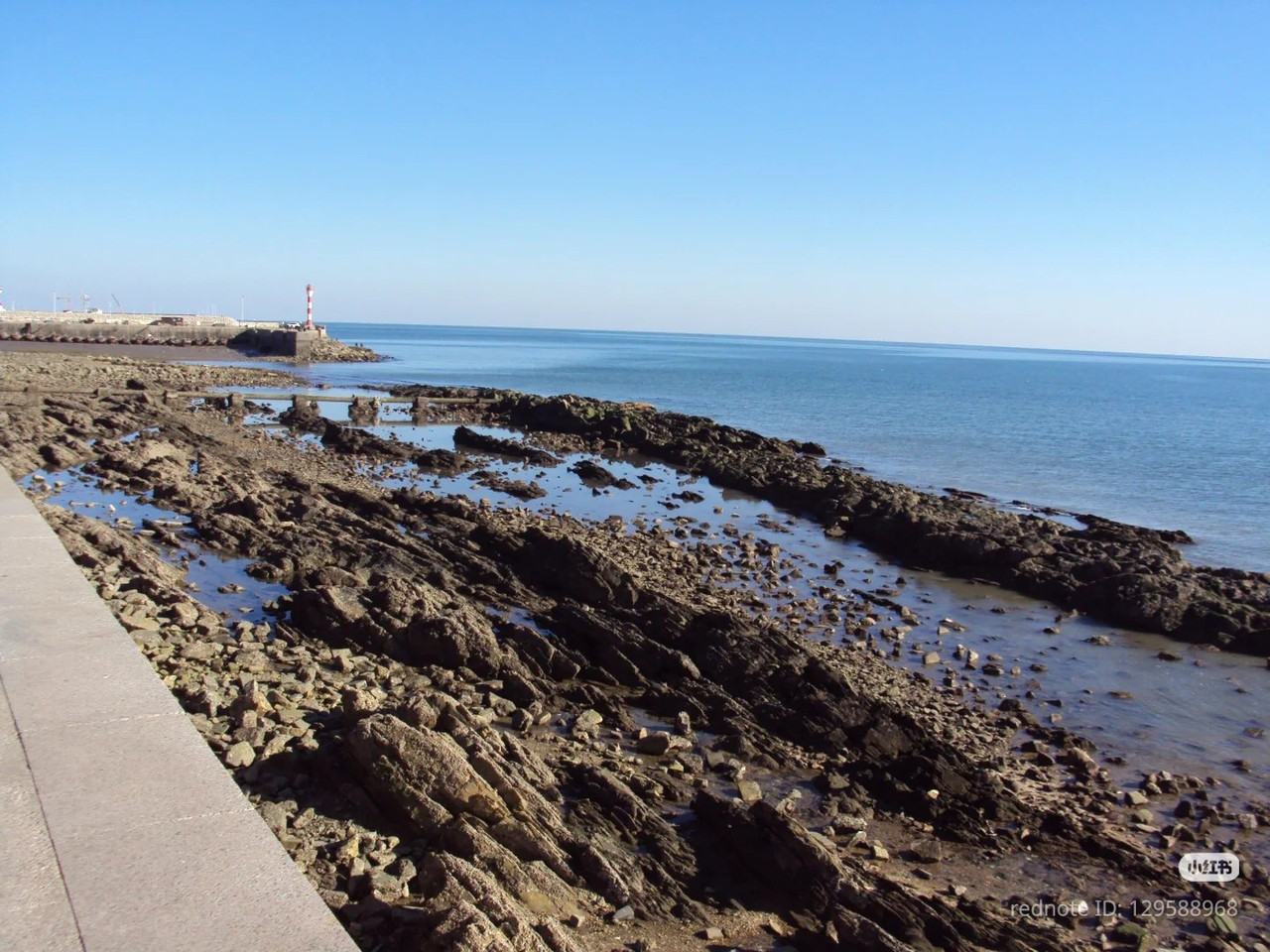 photo 7 2026 01 03 21 19 51