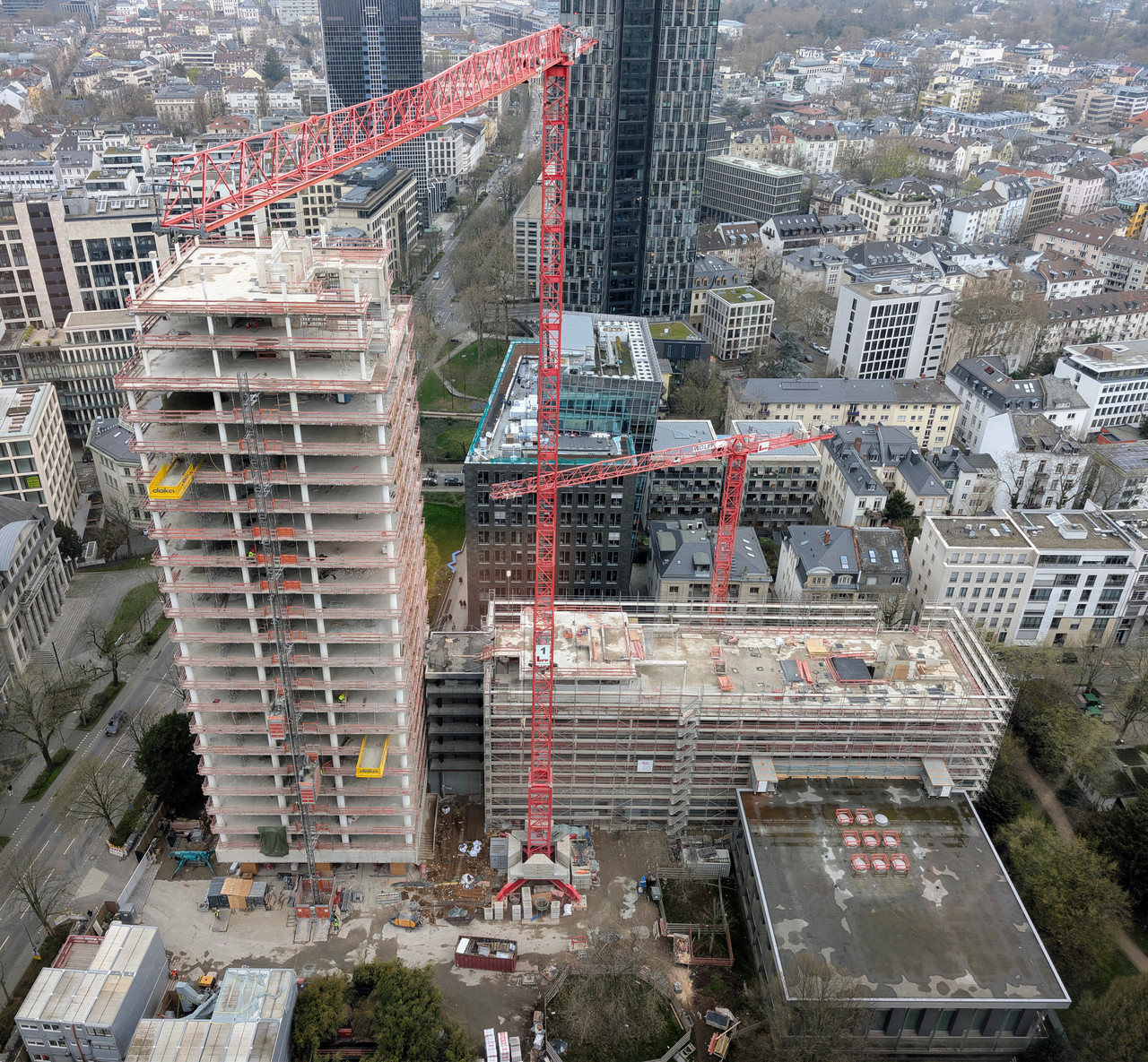 PXL 20260317 081109581