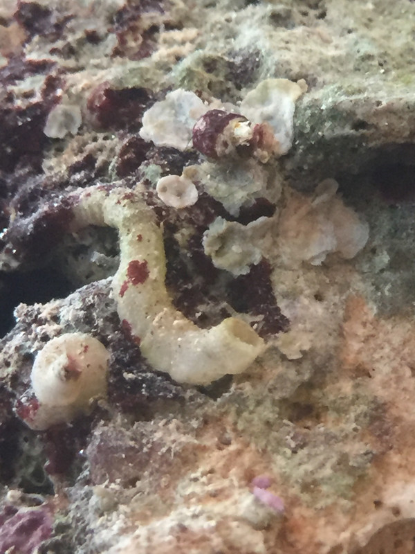 5EE28A72-A4BB-439E-A8A6-D36A0B039C77