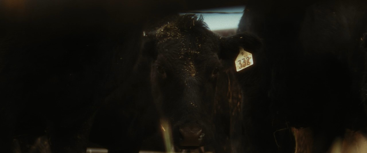 Movie cover image