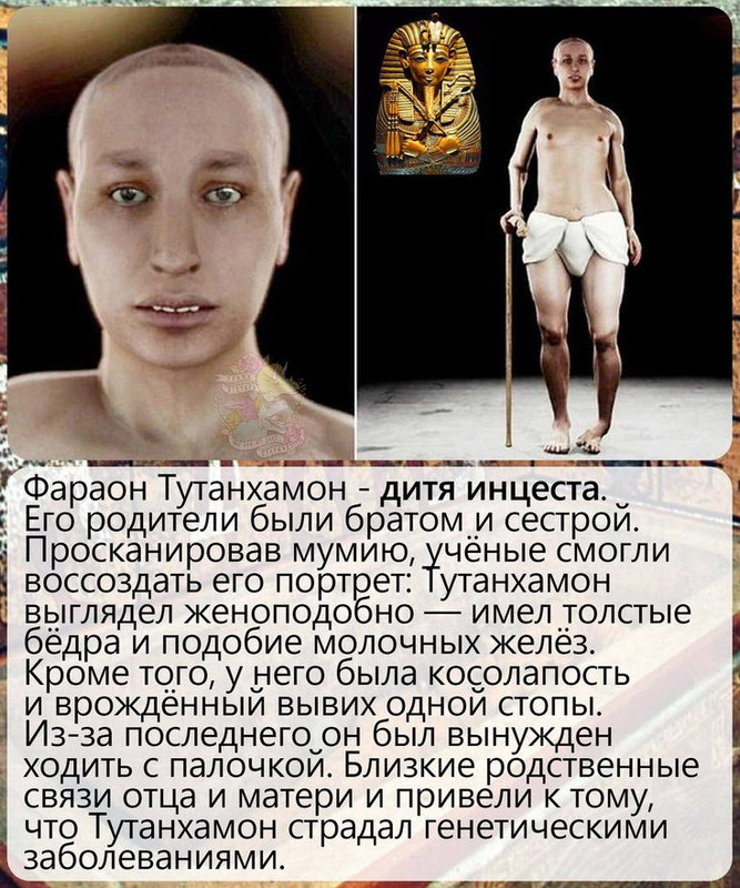 [Изображение: 25d96301affcfbd090ccfe604bf92dea.jpg]