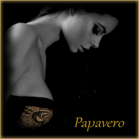 Immagine di Papavero