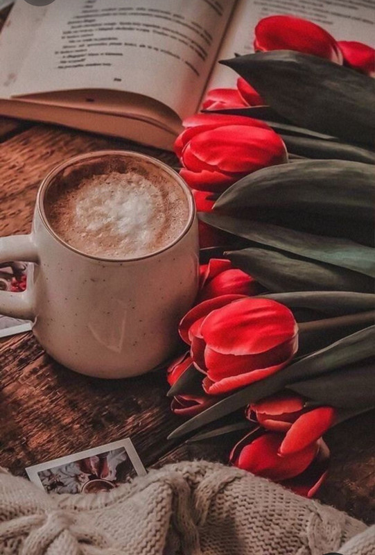 Screenshot_20231015_213635_Pinterest