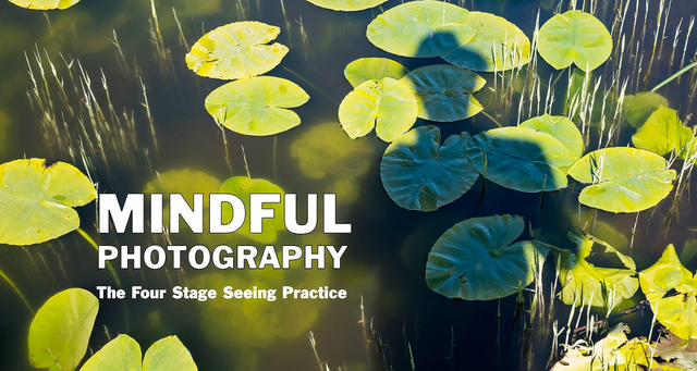 Mindful Photography: The Four Stage Seeing Practice Mindful Photography: The Four Stage Seeing Practice