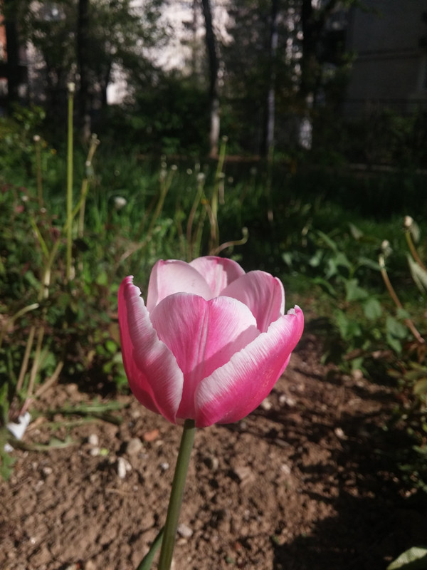 20150417_172250