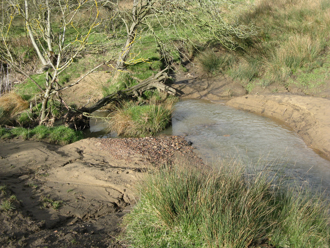 80F9D004-00E1-4128-84B9-13E71494E506