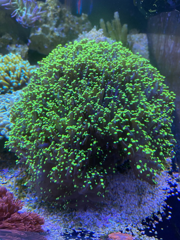 9FC0703A-3A94-42D2-9831-5912A605483C