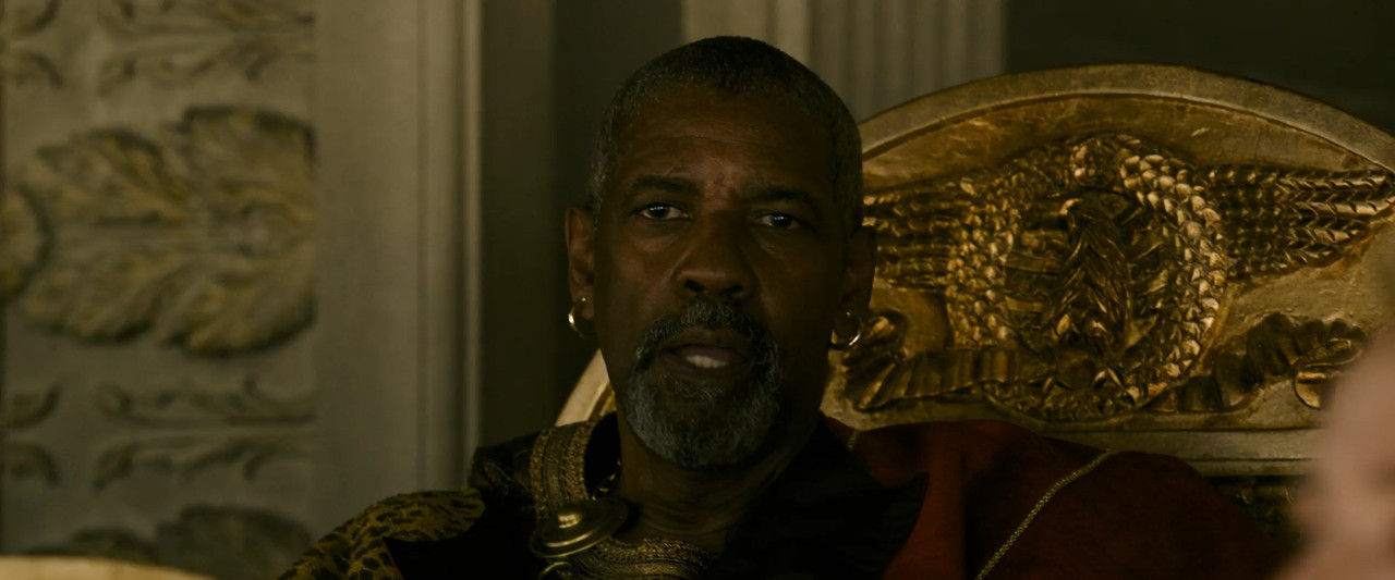 Gladiator II 2024 WebRip [Hindi + Tamil + Telugu + English] 480p, 720p, 1080p ESub Screenshot
