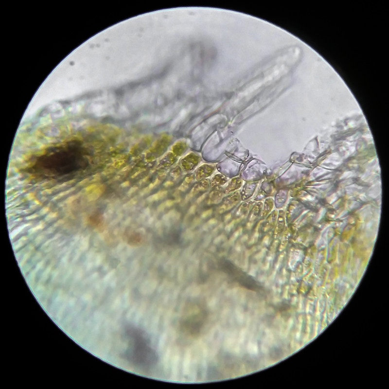 IMG 20250614 205110 HDR