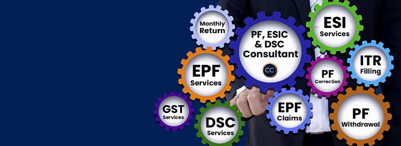 PF ESI Services