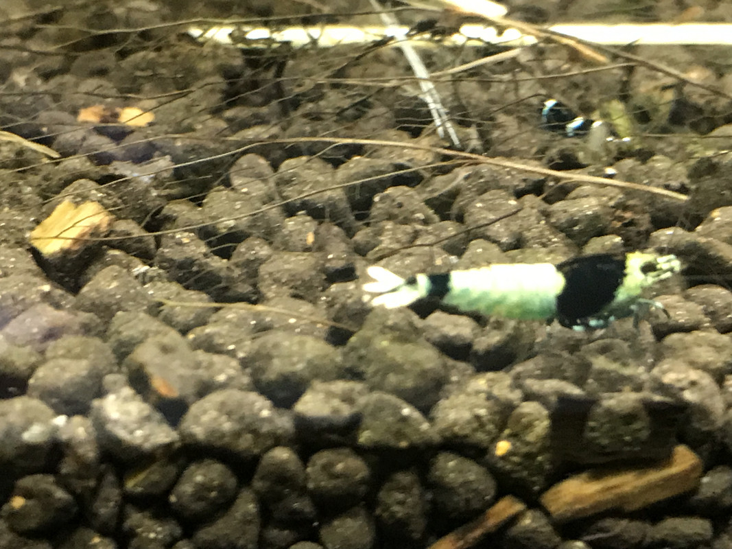 DCCC9590-AAF3-488A-835E-DE83E68B8B8C