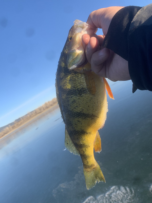 EF58A0B4-75CC-4E01-8D4D-A9BE420FD552