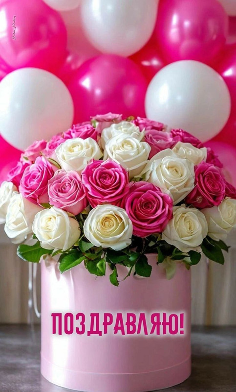 Согревающие слова - Поздравления на портале Новости Запорожья