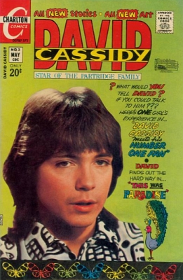 David Cassidy 3