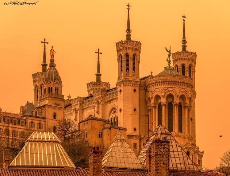 ED1934B5-8EB5-4F53-94E5-BC653299E3E8