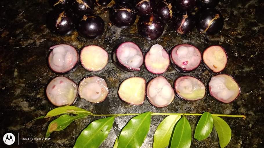 WhatsApp Image 2020-12-20 at 00.10.49 (46)