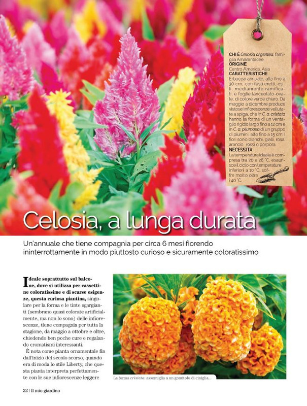 Il Mio Giar Ott-Nov 2022 (5)