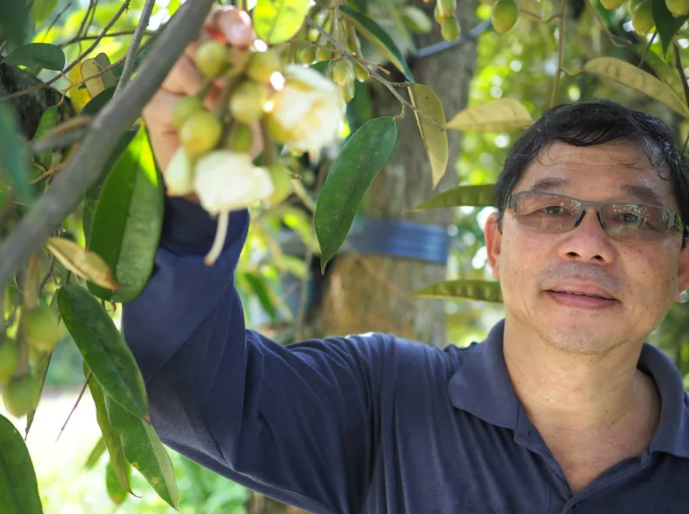 Heng Mee Oo - Founder of Serene Orchard