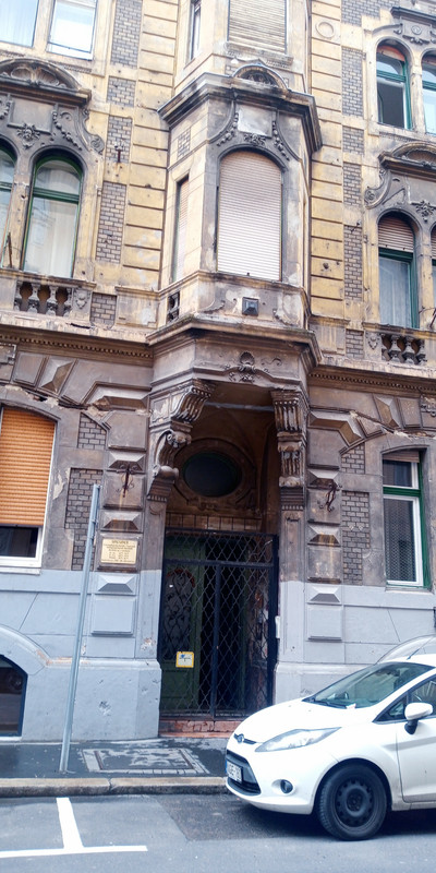Kép