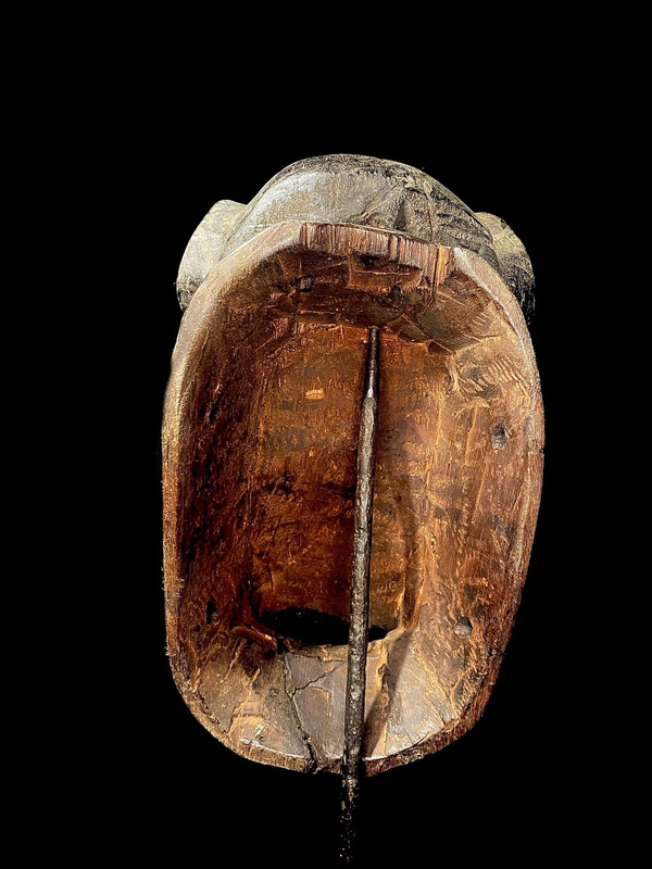 large image 11