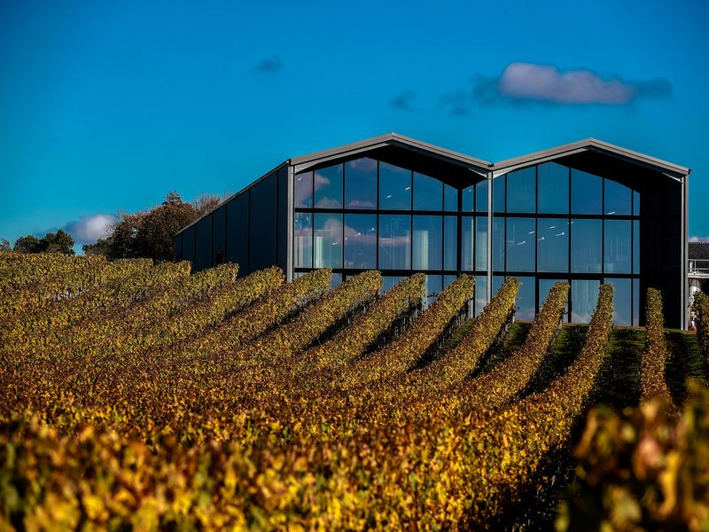 Vu de face du chai de Maison Grandeau Lauduc depuis les vignes