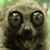 https://i.postimg.cc/qRQFQPsV/18663.gif