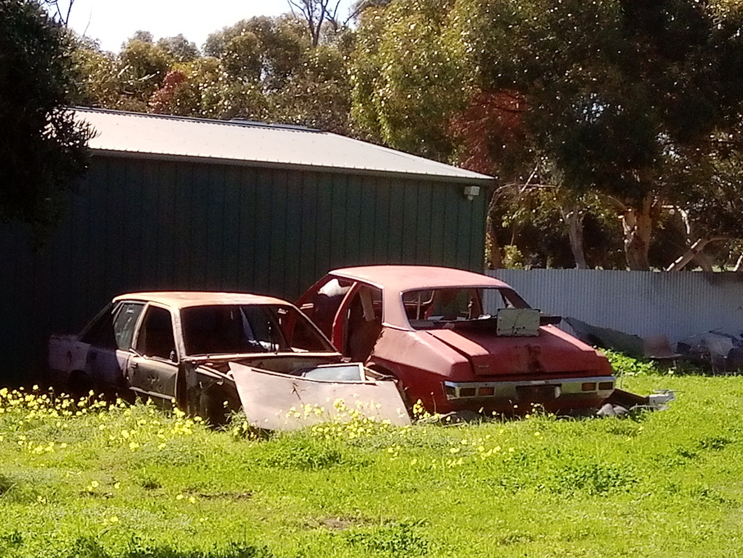 VL commodore wrecks Aug2019 (3)
