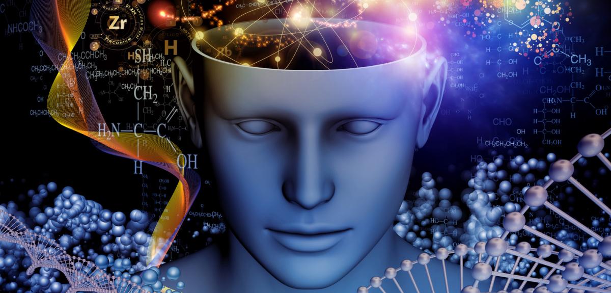 https://i.postimg.cc/qRQJr8fq/cerebro-consciencia.jpg
