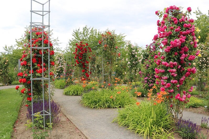 caption Европейский Розарий в Зангерхаузене