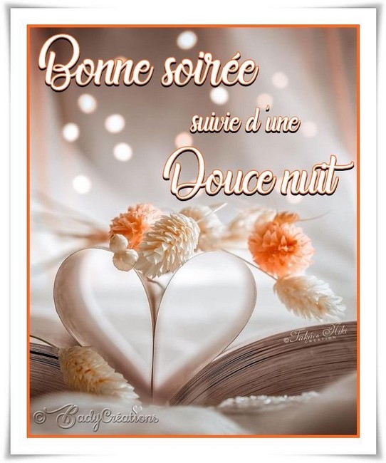 46-bonne-soir-e-et-douce-nuit