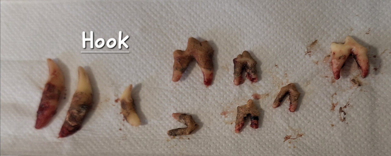 [Image: 20250819-180125.jpg]