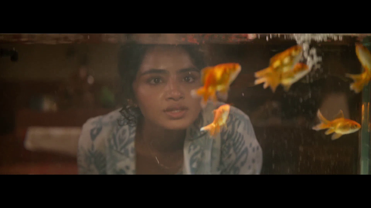 vlcsnap 2025 11 09 16h39m56s275