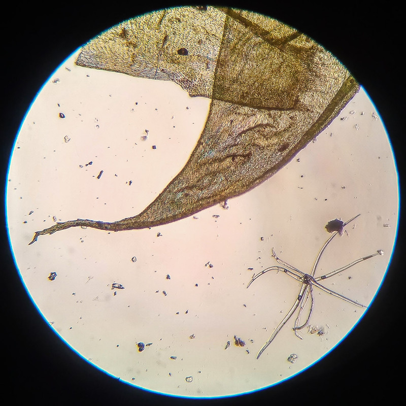 IMG 20250616 210748 HDR