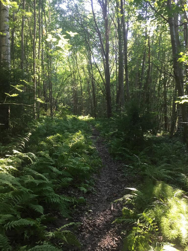 D427BA95-FEF4-4731-9FF3-37E53086E47E