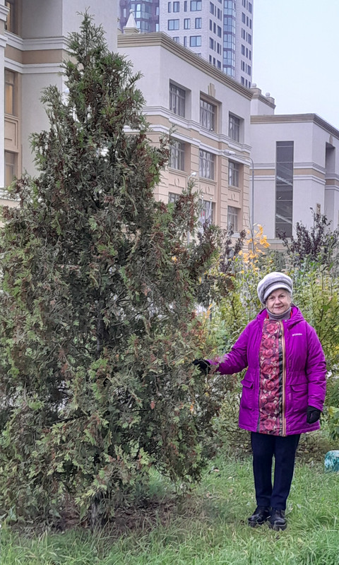 октябрь на исходе 4