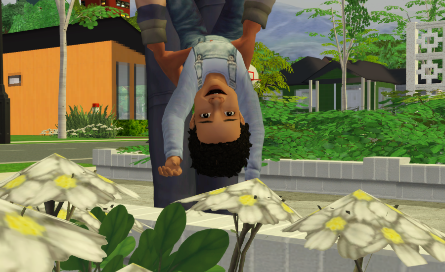 Sims2-EP9-RPC-2021-05-29-19-27-59-57