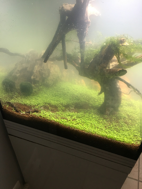 B3655429-7B3C-4459-B95F-094036C62C84