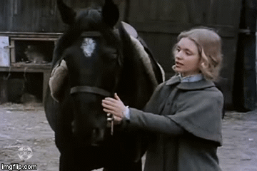 ���� ���� ������ �� ���� ������