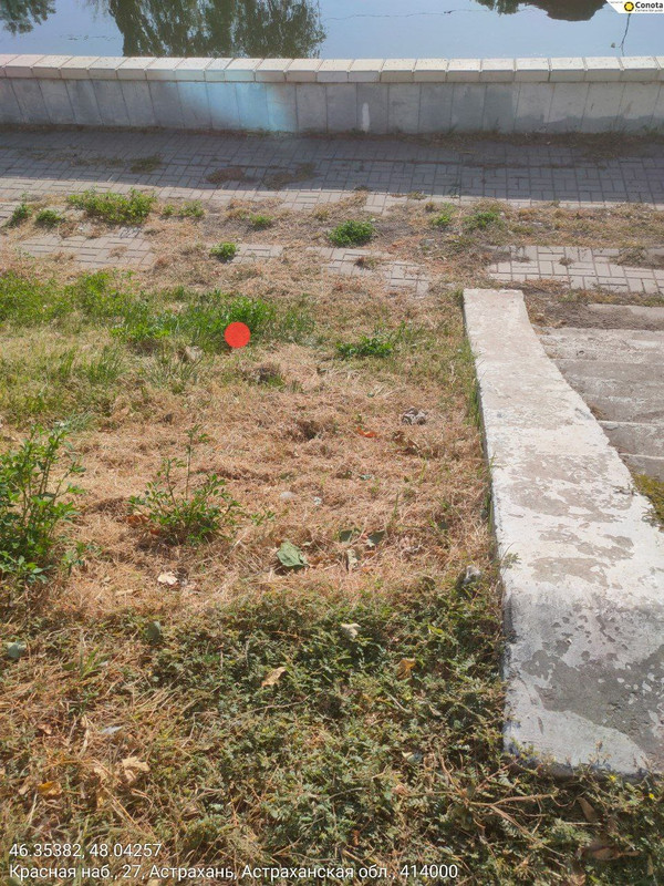 D5E97BCA-0835-43D3-B498-64D4F919A488